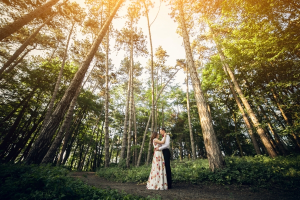 A couple is standing in an enchanted forest.